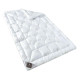 Ковдра Super Soft Classic 200х220 см аналог лебединого пуху всесезонна 